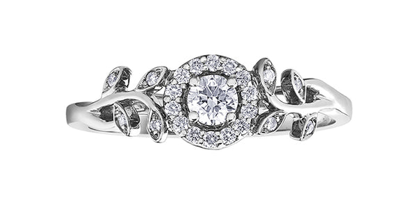 10K White Gold 0.25cttw Canadian Diamond Ring - / 4.5