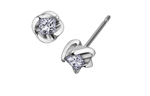 18K White Gold & Palladium Alloy (hypoallergenic) 0.25cttw Canadian Princess Cut Diamond Stud Earrings - / Carat Total