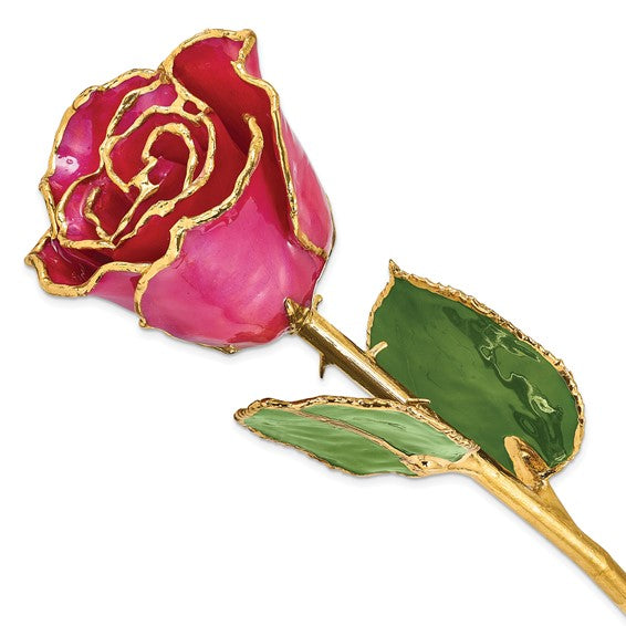 24K Lacquer Dipped Gold Trimmed Plum Fuchsia Real Rose