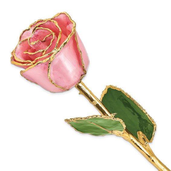 24K Lacquer Dipped Gold Trimmed Pink Pearl Real Rose