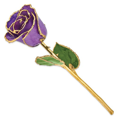 24K Lacquer Dipped Gold Trimmed Lilac Real Rose
