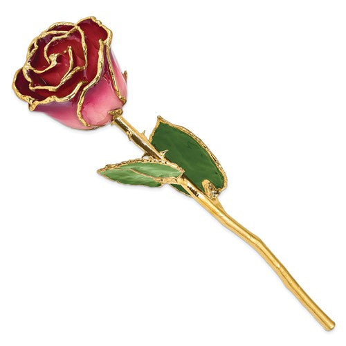24K Lacquer Dipped Gold Trimmed Pink and Burgundy Real Rose