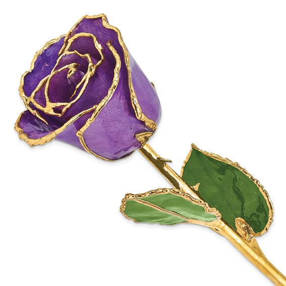 24K Lacquer Dipped Gold Trimmed Lilac Real Rose