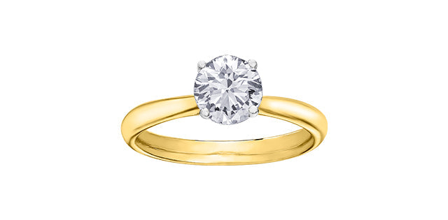 Women’s Wedding Bands Collection