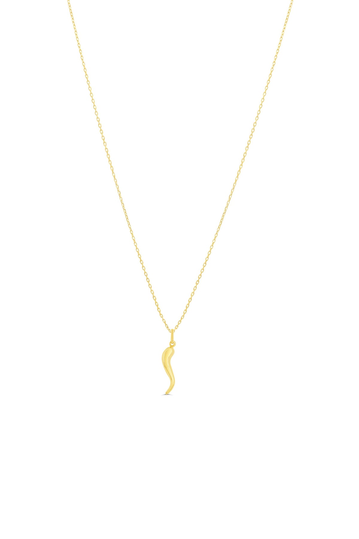 10K Yellow Gold Italian Horn Charm