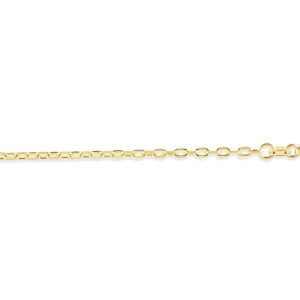 A 10K yellow gold anklet with adjustable chain and a lobster clasp closure.