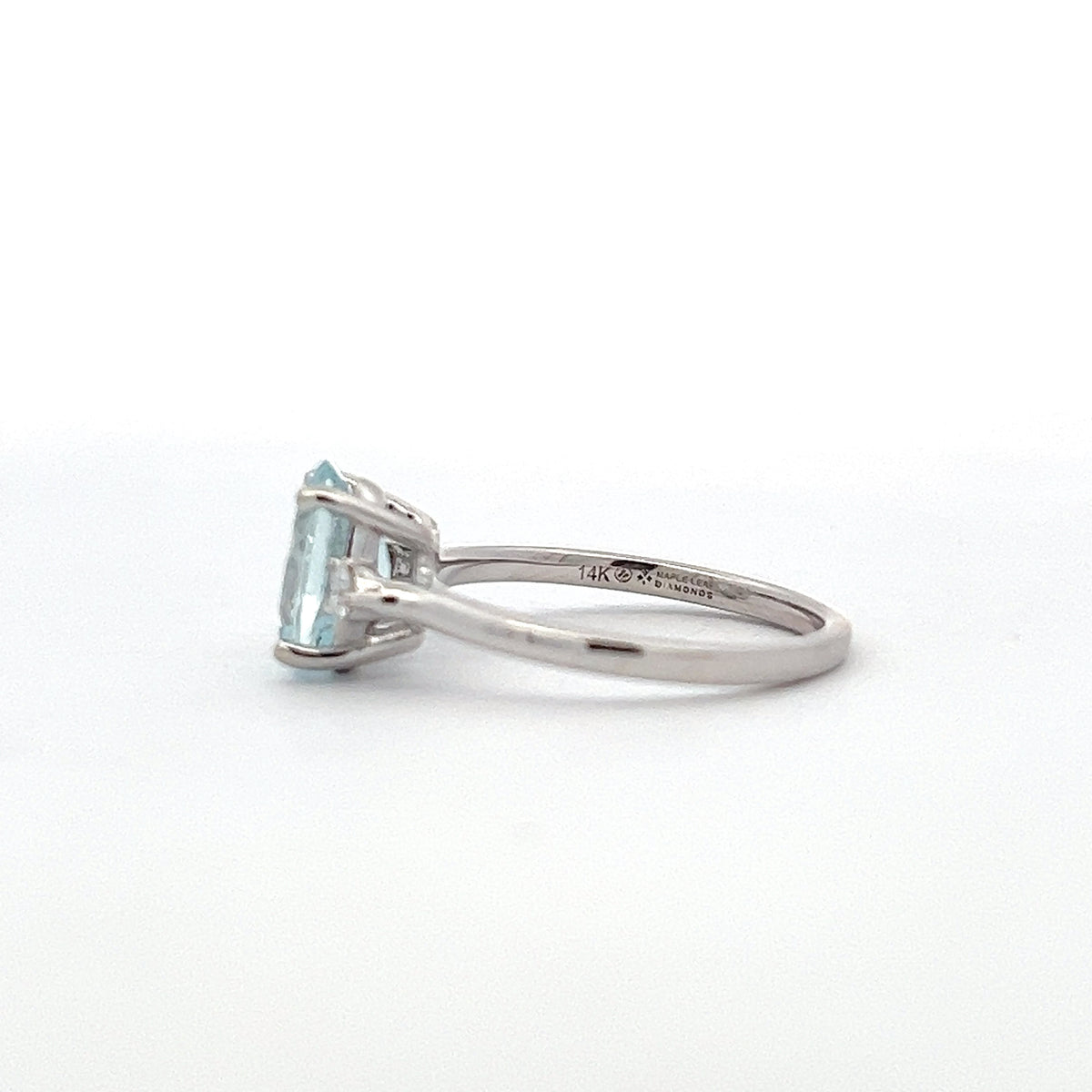 14K White Gold Aquamarine and 0.10cttw Canadian Diamond Ring