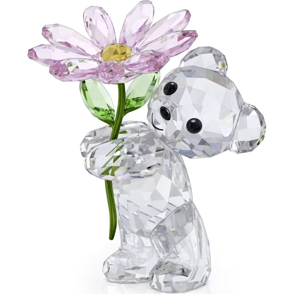Kris Bear: A Daisy for You - 5675327