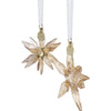 Swarovski - Annual Edition Festive 3D Ornament Set 2025 5701824