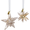 Swarovski - Annual Edition Festive 3D Ornament Set 2025 5701824