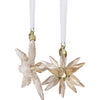 Swarovski - Annual Edition Festive 3D Ornament Set 2025 5701824