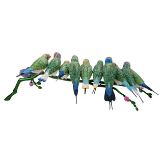 Crystal Myriad Gouldian Finches 5677659