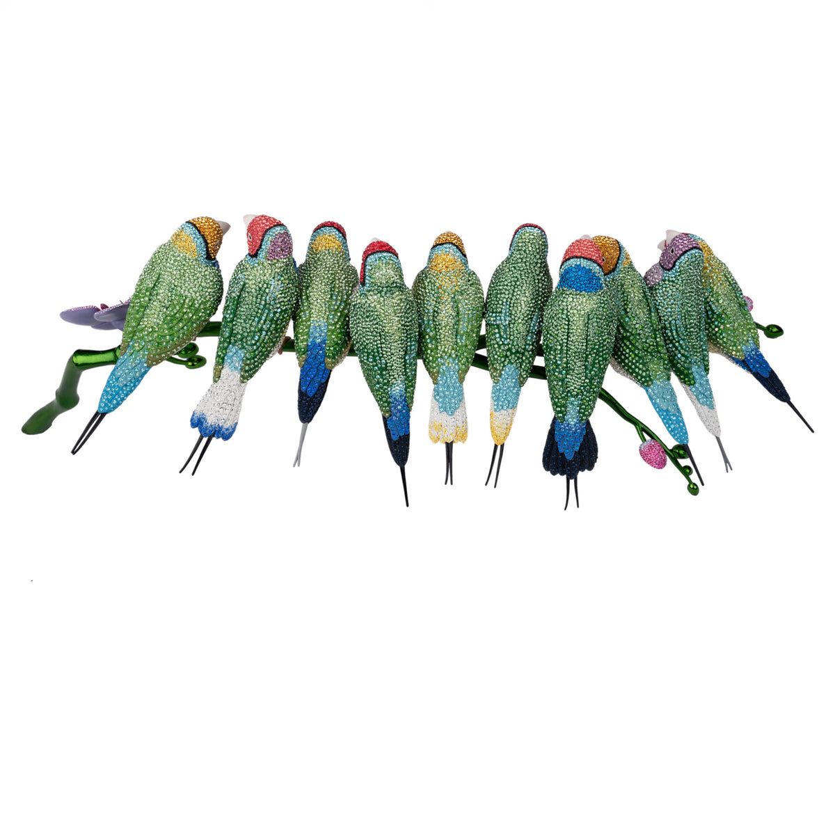 Crystal Myriad Gouldian Finches 5677659