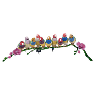Crystal Myriad Gouldian Finches 5677659