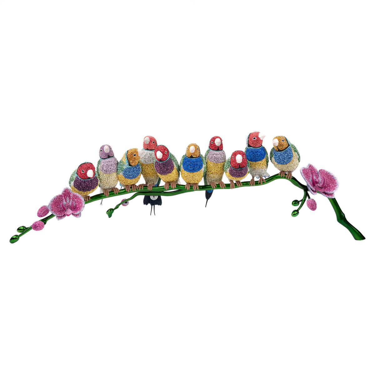 Crystal Myriad Gouldian Finches 5677659