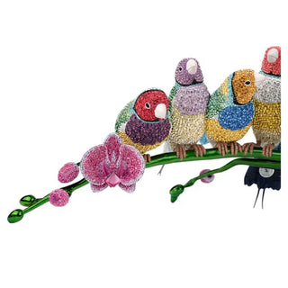 Crystal Myriad Gouldian Finches 5677659