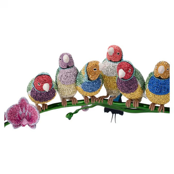 Crystal Myriad Gouldian Finches 5677659
