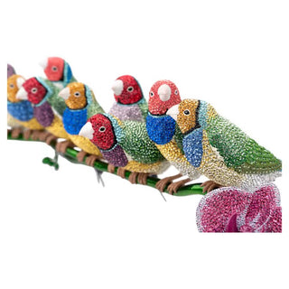 Crystal Myriad Gouldian Finches 5677659