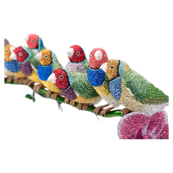 Crystal Myriad Gouldian Finches 5677659