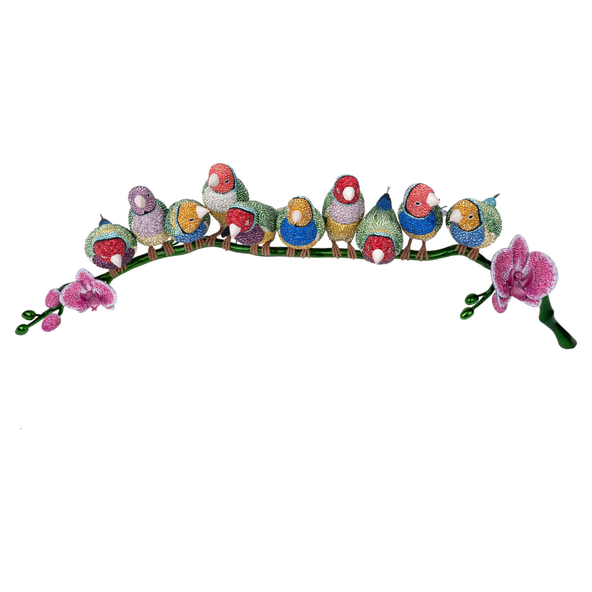 Crystal Myriad Gouldian Finches 5677659