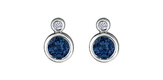 10K White Gold Sapphire  and 0.01cttw Diamond Earrings