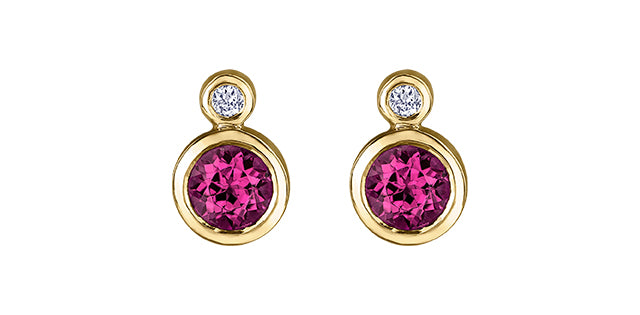 10K Yellow Gold Ruby and 0.01cttw Diamond Earrings