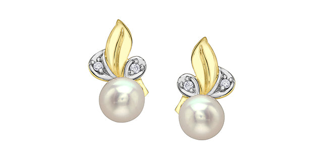 10K Yellow Gold Pearl and Diamond Stud Earrings
