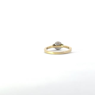 10K Yellow and White Gold 0.25cttw Diamond Ring with Halo