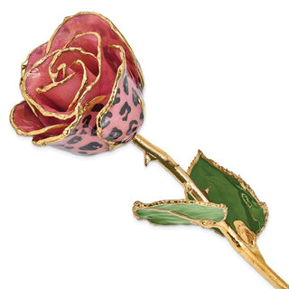 Lacquer Dipped Gold Trimmed Pink and Black Leopard Real Rose - GM10617