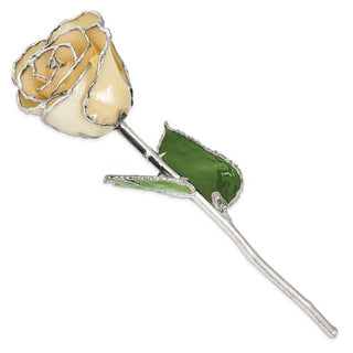 White Lacquer Dipped Silver Trimmed  Real Rose   GM16744