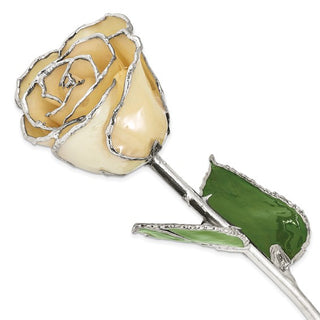 White Lacquer Dipped Silver Trimmed  Real Rose   GM16744