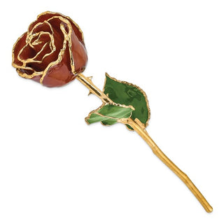 Lacquer Dipped Gold Trim Root Beer Real Rose
