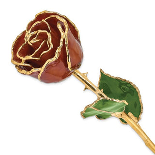 Lacquer Dipped Gold Trim Root Beer Real Rose