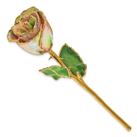 24K Lacquer Dipped Gold Trimmed Galaxy Iridescent Rose