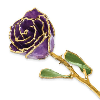 Lacquer Dipped Gold Trimmed February Birthstone Amethyst Real Rose