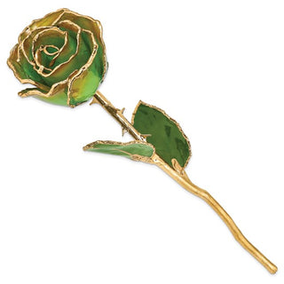 Lacquer Dipped Gold Trimmed Peridot/Orange Real Rose