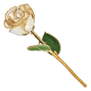 24K Lacquer Dipped Gold Trimmed White Satin Rose
