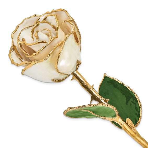 24K Lacquer Dipped Gold Trimmed White Satin Rose
