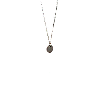 Stainless Steel 10mm Engravable Disc Pendant - 18"