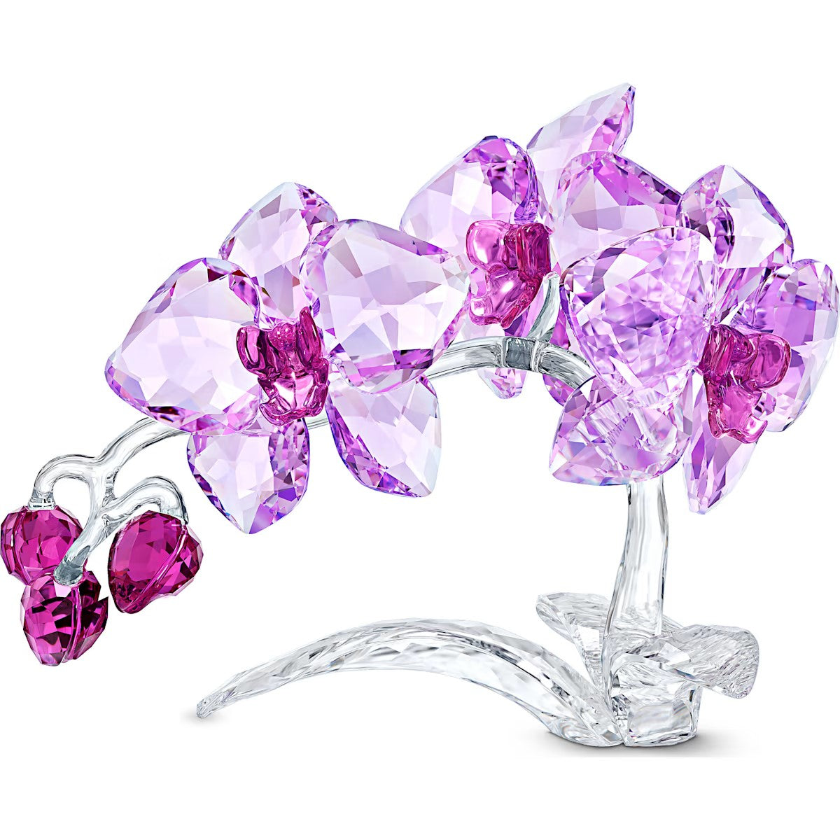 Swarovski Crystal Flowers Orchid - Core 5520373