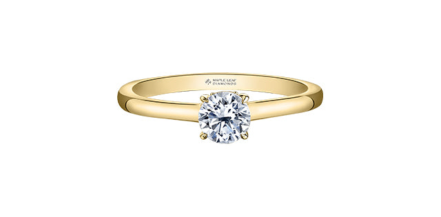 18K Yellow Gold 0.55cttw Round Brilliant Cut Canadian Diamond Hidden Halo Engagement Ring
