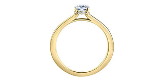 18K Yellow Gold 0.75cttw Round Brilliant Cut Canadian Diamond Hidden Halo Engagement Ring