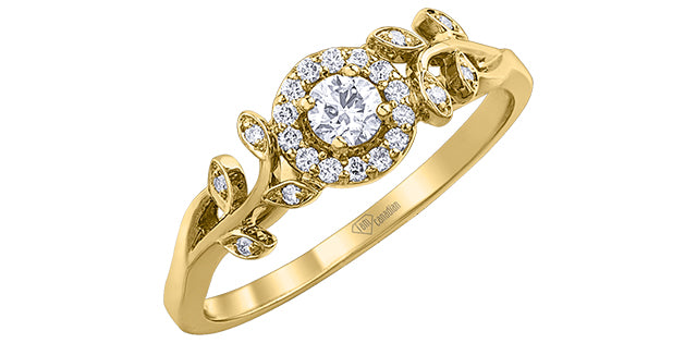 10K Yellow Gold 0.25cttw Canadian Diamond Ring, size 6.5