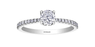 18K White Gold 0.68cttw Canadian Diamond Engagement Ring, Size 6.5