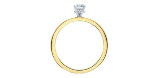 18K Yellow Gold 1.03cttw Round Brilliant Cut Canadian Diamond Hidden Halo Engagement Ring