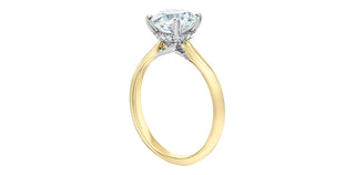 14K Yellow and White Gold 3.10 Cttw Lab Grown Round Cut Diamond Engagement Ring with Hidden Halo