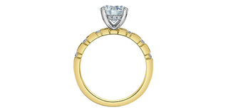 14K Yellow and White Gold Lab Grown Diamond Engagement Ring