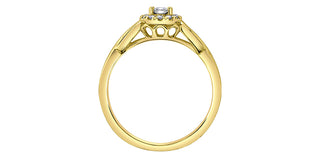 10K Yellow Gold 0.20cttw Gold Diamond Ring with Halo