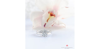 14K White Gold 0.25cttw Diamond Ring