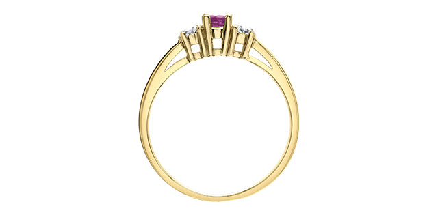 10K Yellow Gold 0.04cttw Diamond with Genuine Ruby Ring